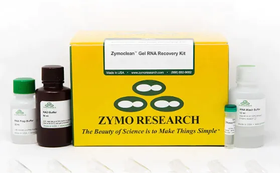 Zymoclean Gel RNA Recovery Kit	50 Preps